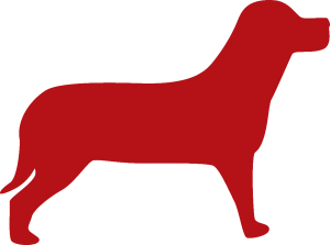Surrey Størrelse tre Priser hunde