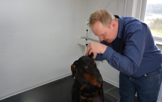 Morten og hund i øretjek